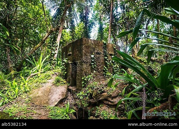 Japanese bunker overgrown from the jungle, Kavieng, New Ireland, Papua New Guinea, Oceania.