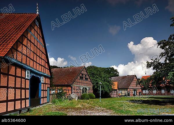 Half-timbered buildings, courtyards of a Rundling village in the Wendland, Low German hall houses, Lower Saxony Elbe floodplain, Lüneburg Heath, Green Belt, border path, Lüchow-Dannenberg district, Lower Saxony, Germany, Europe.