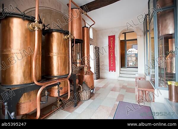 Poli, grappa museum, Bassano del Grappa, Veneto, Italy, Europe.