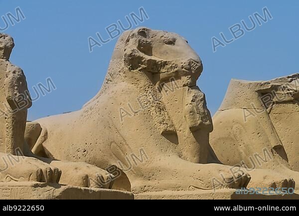 Ram-headed Sphinx, Phinx Alley in front of the 1st Pylon, Karnak Temple, Karnak, Egypt, Africa.