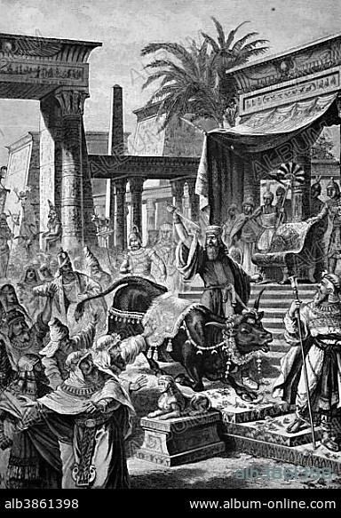 The Persian king Cambyses slaying the sacred bull Apis, Cambyses II, 558-522 BC, son of Cyrus II, who was the seventh Achaemenid king, 529-522 BC, historical engraving, 1883.
