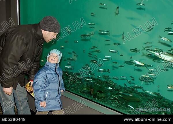 Bad Wiessee at the Tegernsee Uper Bavaria Germany Aquadome Sweetwater fish Aquarium.