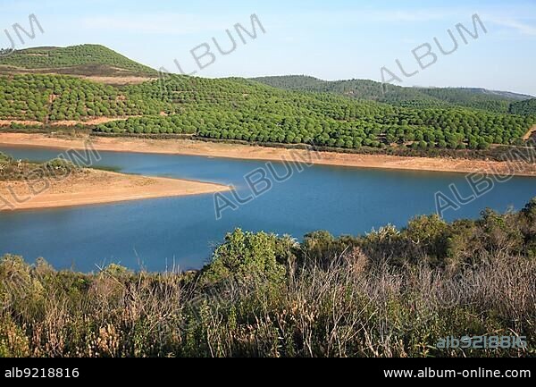 Landscape at Barragem da Bravura reservoir with pine forest, Algarve, Portugal, Europe.