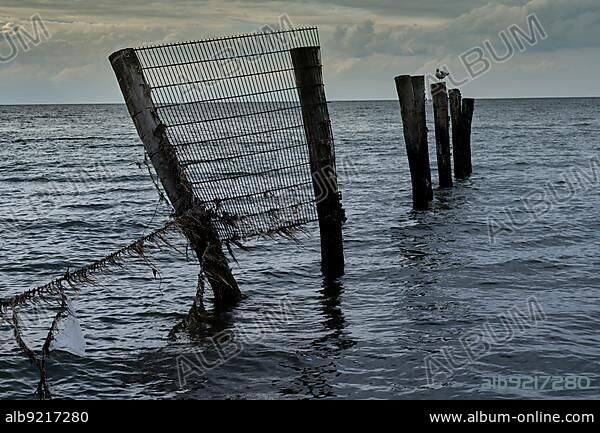 Germany, Rerik, 27. 06. 2020, beach, shore, barrier, fence to Wustrow peninsula, restricted area, former military use, Europe.
