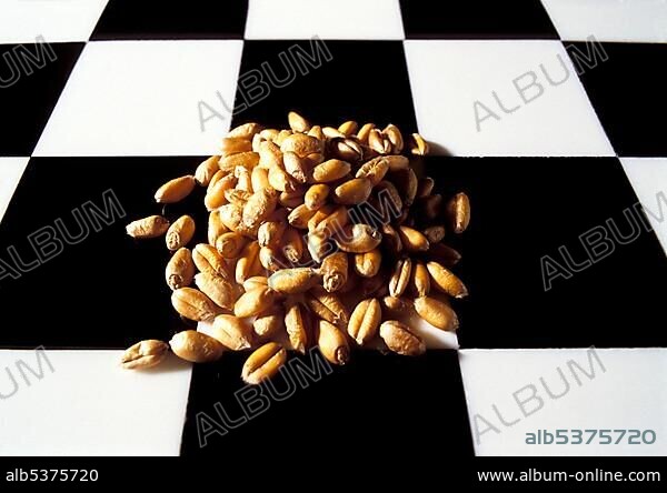 Chess board (checkerboard, cequerboard) with 128 grains of wheat. Story (legend) of the Indian king Shihram and the wise man Sissa bin Dahir.