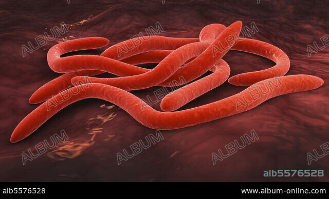 Conceptual image of fusobacteria. Album alb5576528