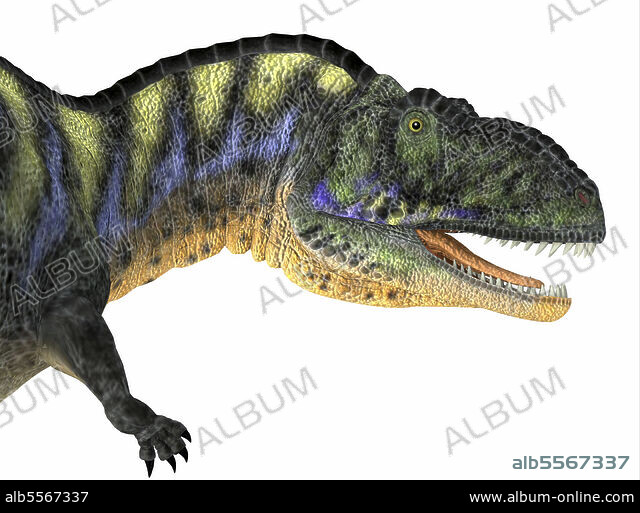 OZROSAURUS / OZBUM ~A•UN~ OZBUM ~A:UN~ TOUR2012[DVD] - OZROSAURUS - UNIVERSAL MUSIC JAPAN