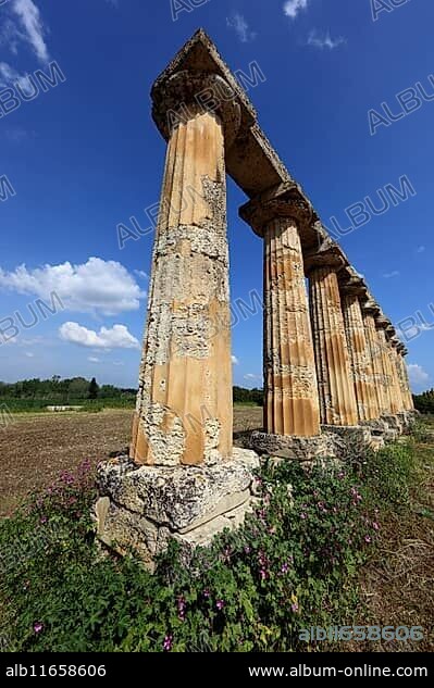 Metaponto, Metaponte, Doric hera temple, Tavole Palatine, Basilicata, Italy, Europe.