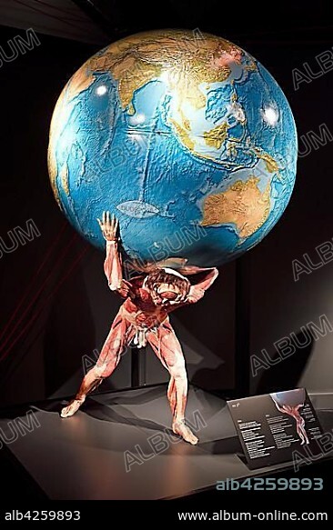 Plastinate, man as Atlas, Body Worlds, Menschen Museum, Berlin, Germany, Europe.