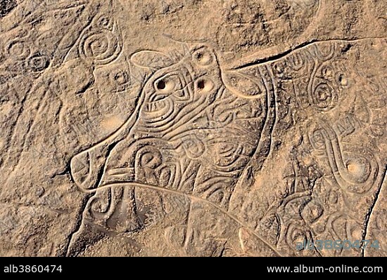 Neolithic rock art masterpiece, the famous curly cow, Bubaline or Bubalus period, at Tinterhert, Tin Taghirt, Dider Valley, Tassili n'Ajjer National Park, Unesco World Heritage Site, Sahara desert, Algeria, Africa.