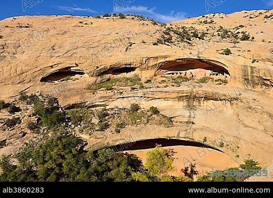 Historic Native American cliff dwellings, Butler Wash Ruins, Utah, USA, North America.