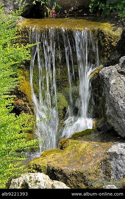 Flowering Baroque in Ludwigsburg, stream in the Japanese Garden, small waterfall, Japanese Garden.