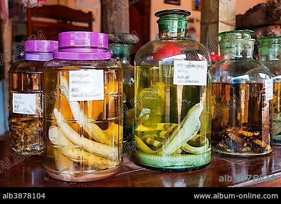 Pickled animals, snakes in rice wine, Sang Ha, Louangphabang Province, Laos, Asia.