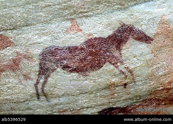Prehistoric representation of an eland antelope, zebra or quagga, rock paintings of the Bushmen on the Sevilla Rock Art Trail near Clanwilliam, Cedarberg, South Africa, Africa.
