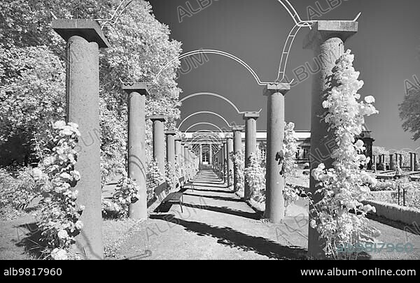 Infrared photo Rose Garden; Natural History Museum Stuttgart; Rosenstein Castle; Rosenstein Park; Stuttgart; Baden-Württemberg; Germany; Europe.
