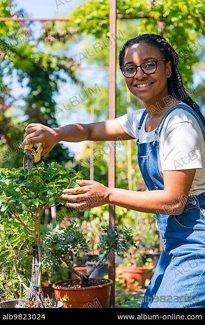 Portrait of black ethnic woman with braids gardener working in the nursery inside the greenhouse cutting the bonsai trees.