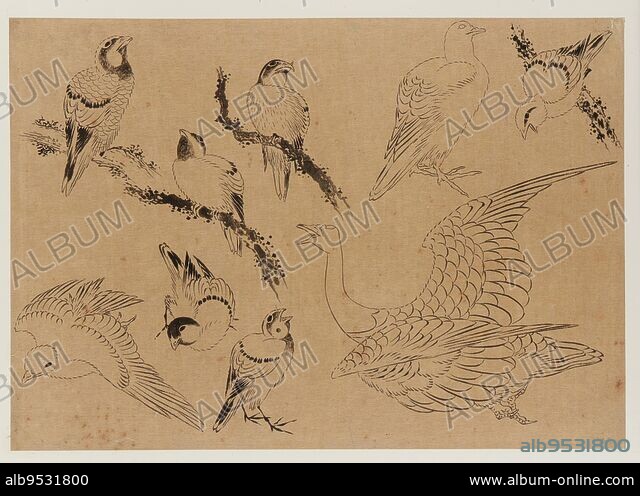 絵画 Dancing Bird #001 絵画 Dancing Bird #001 絵画 Dancing Bird #001 絵画 Dancing