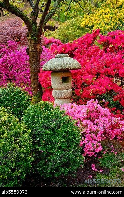 Stone lantern in Japanese garden with blooming flowers, Park Clingendael, The Hague, Netherlands.