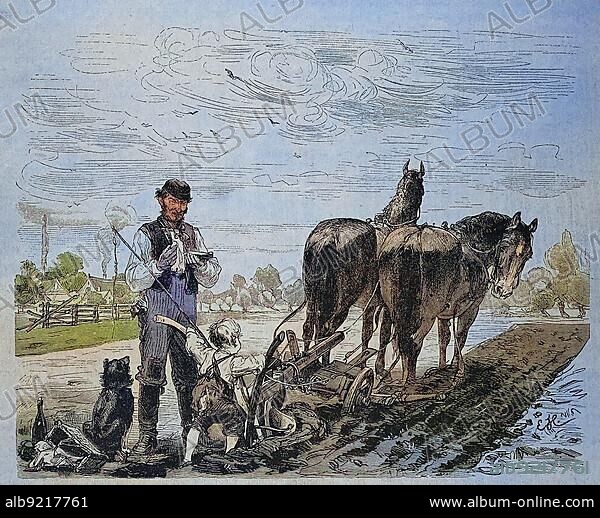 First attempt of the farmer's boy to plough the field with the horse and cart and the plough, around 1880, Historic, digitally restored reproduction of a 19th century original.