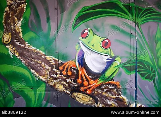 Graffiti of a frog in the rain forest, San Jose downtown, San José Province, Costa Rica, Central America.
