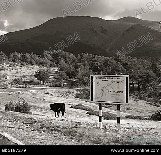CARTEL - SERVICIO NACIONAL DE PESCA FLUVIAL Y CAZA DEL RIO LOZOYA - PUERTO DE COTOS - FOTOGRAFIA EN BLANCO Y NEGRO - AÑOS 60.