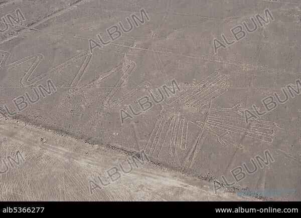 The Condor, Nazca Lines, UNESCO world heritage site, in Nasca or Nazca, Peru, South America.