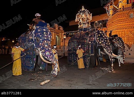 Decorated elephants, Dalada group with sacred elephant Maligawa Raja, carrying Sacred Tooth Relic on back, Buddhist festival Esala Perahera, in front of Sri Dalada Maligawa or Temple of the Sacred Tooth Relic, Kandy, Central Province, Sri Lanka, Asia.