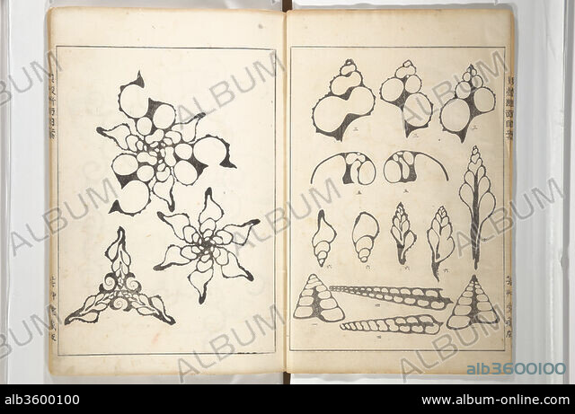 YOICHIRO HIRASE. Shell Motifs (Kaigara dammen zuan) - Album