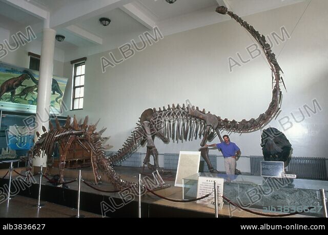 置物 out of museum out of museum 目玉焼き オブジェ 置物