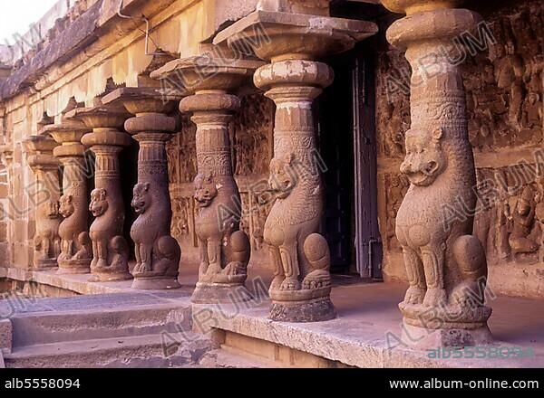 Lion Pillars in Vaikuntha Perumal Temple in Kanchipuram near Chennai; Madras, Tamil Nadu, India. Vaikuntha Perumal Temple is an important Vishnu temple built by the Pallava King & Nandivarman Pallavamalla, in the 7th century A. D in Kanchipuram near Chennai, Tamil Nadu, India. The covered passages inside the outer walls of the temple are supported by lion pillars, which contain historical Pallava inscriptions. The sculptures seen in the temple display the history of the temple, with descriptive facts in.