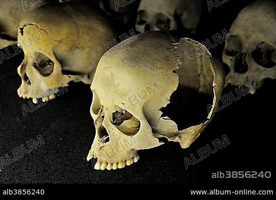 Skulls of murdered Tutsis during the genocide of 1994, Kigali Memorial Centre, genocide museum of Kigali, Rwanda, Africa.