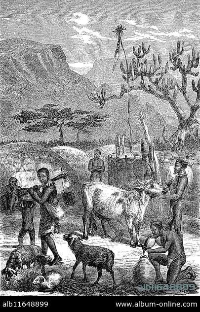 Village, Kral of the Kaffirs, South African people of the Xhosa, Bantu, South Africa in 1870, Historical, digital reproduction of an original from the 19th century.