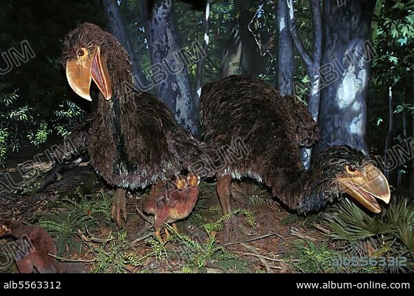 Diatryma, a carnivorous prehistoric bird, lived 50 million years ago.