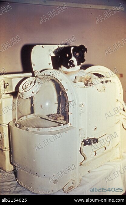 邦楽 SERIKA WITH DOG DEMO 1982 邦楽 SERIKA WITH DOG DEMO 1982 邦楽 SERIKA WITH DOG DEMO 1982