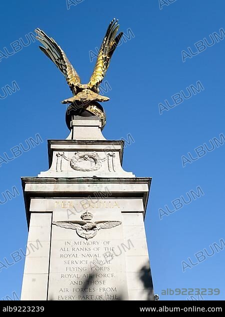 View of the RAF Memorial in London.