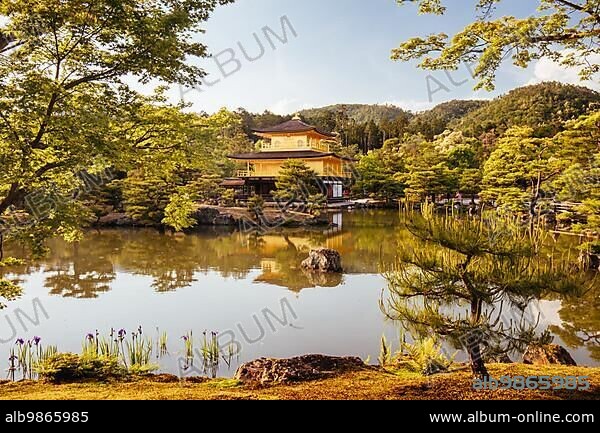 The world famous Kinkakuji Temple (The Golden Pavilion) in Kyoto, Japan, Asia.