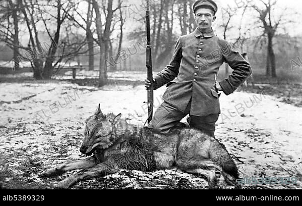 Historic photo, German soldier shooting down a wolf, ca. 1915 in Russia.
