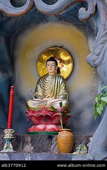 Buddha statue, Quoc Tu Pagoda, Ho Chi Minh City, Saigon, Vietnam, Southeast Asia, Asia.