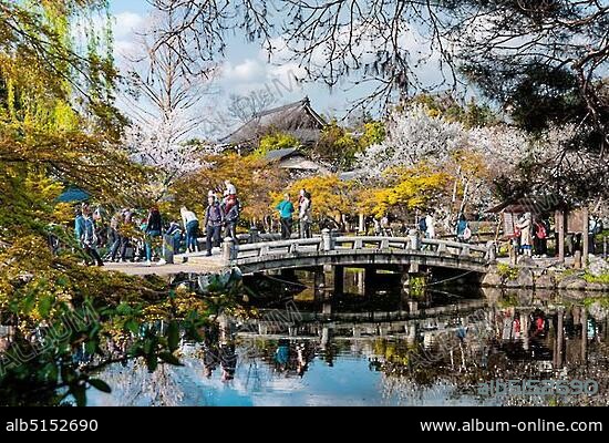 Lake with bridge in Maruyama Park, Kyoto, Japan, Asia.