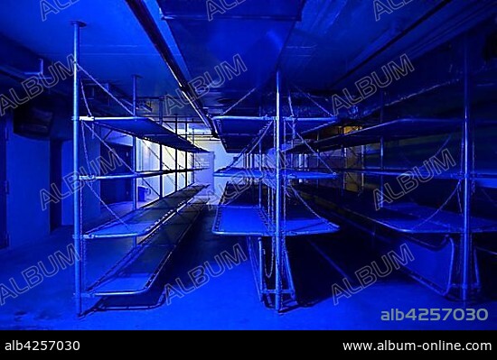 Bedroom, a former nuclear bomb shelter, fallout shelter, museum, interactive exhibition, "The Story of Berlin", Berlin, Germany, Europe.