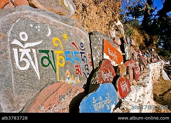 Mani stones with the Buddhist mantra of Avalokiteshwara, the Om Mani Padme Hum Dharamsala, India, Asia.