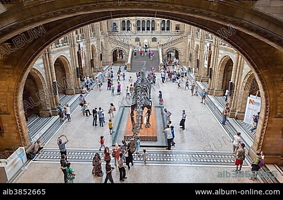 Great entrance hall with dinosaur skeleton, Natural History Museum, Kensington, London, England, United Kingdom, Europe.