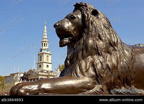 Lion statue with St Martin-in-the-Fields, Trafalgar Square, London, England, United Kingdom, Europe.