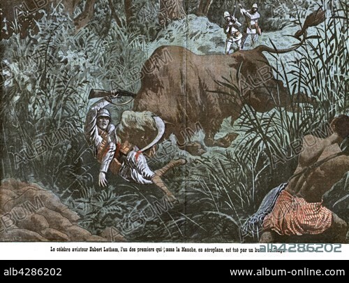 The famous aviator Hubert Latham, one of the first to fly over the English Channel, is killed by a buffalo in the Congo in "Le Pèlerin". Drawing by Damblans. 30-6-1912. Congo. Private Collection.