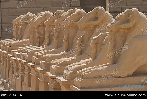 Phinx alley, ram-headed sphinxes in front of the 1st pylon, Karnak temple, Karnak, Egypt, Africa.