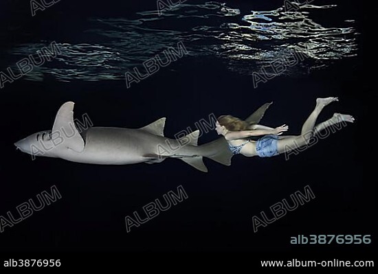 Young beautiful woman swims with shark at night, tawny nurse shark (Nebrius ferrugineus), Indian Ocean, Maldives, Asia.