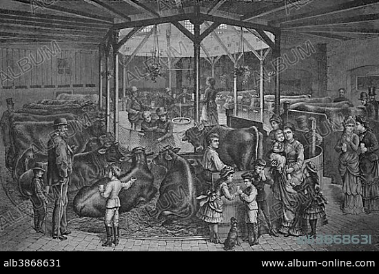 Central hall of Wille'schen Milchkuranstalt, a milk-drinking spa resort, in Dresden, Saxony, Germany, historical engraving, 1883, Europe.