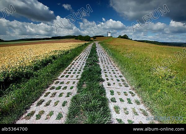 Kolonnenweg, hiking trail through meadows and fields, Lochplattenweg, observation tower of the GDR border troops, border watchtower, Grünes Band, border trail, former German-German border, Hermannsfeld, Rhönblick municipality, Schmalkalden-Meiningen district.