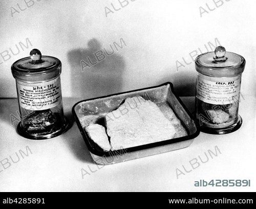 Nuremberg trial: Soap made with human corpses killed by Nazis. Produced by the Danzig Anatomical Institute, these soaps have been used as exhibits during the Nuremberg trial. 20th century. Germany, Second World War war. Centre de documentation juive contemporaine.