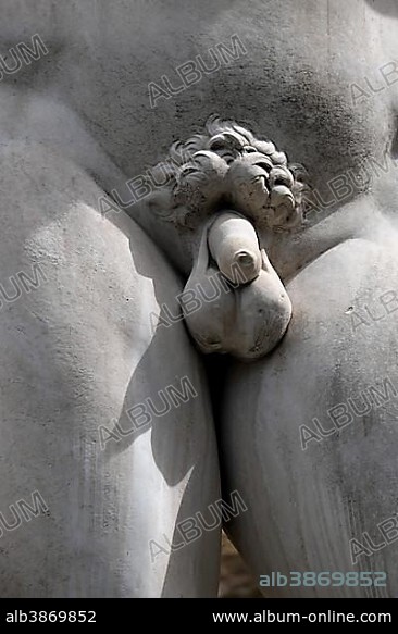Penis, detail of the Renaissance statue of David by Michelangelo Buonarroti, Piazza della Signoria, Florence, Tuscany, Italy, Europe.